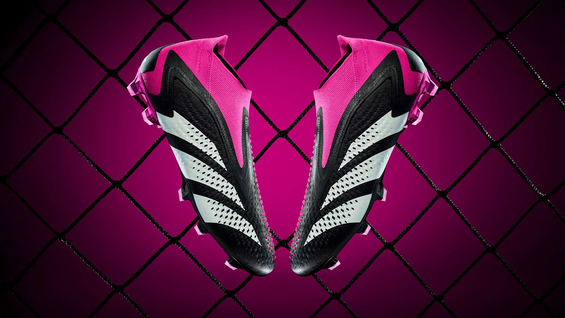 个人价值与 个人价值与