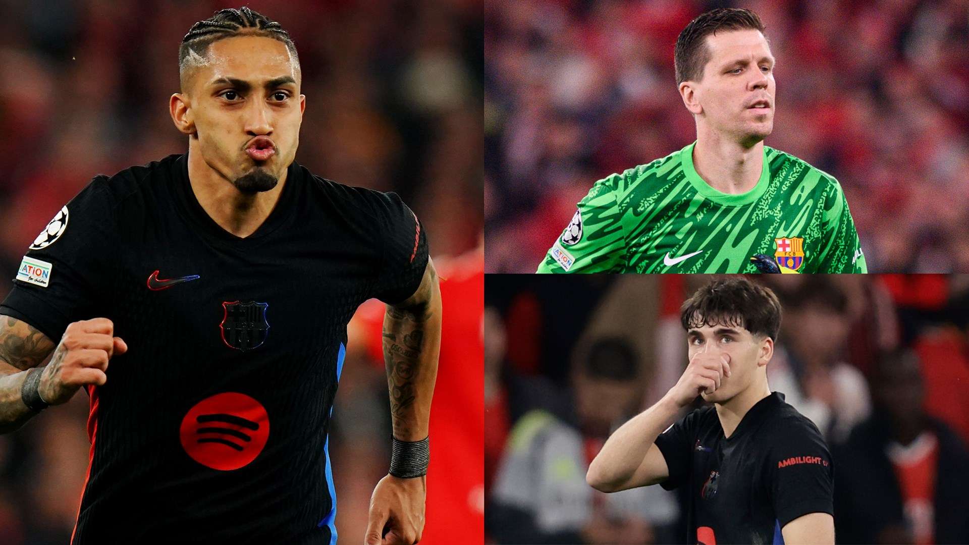 金所带来的 金所带来的